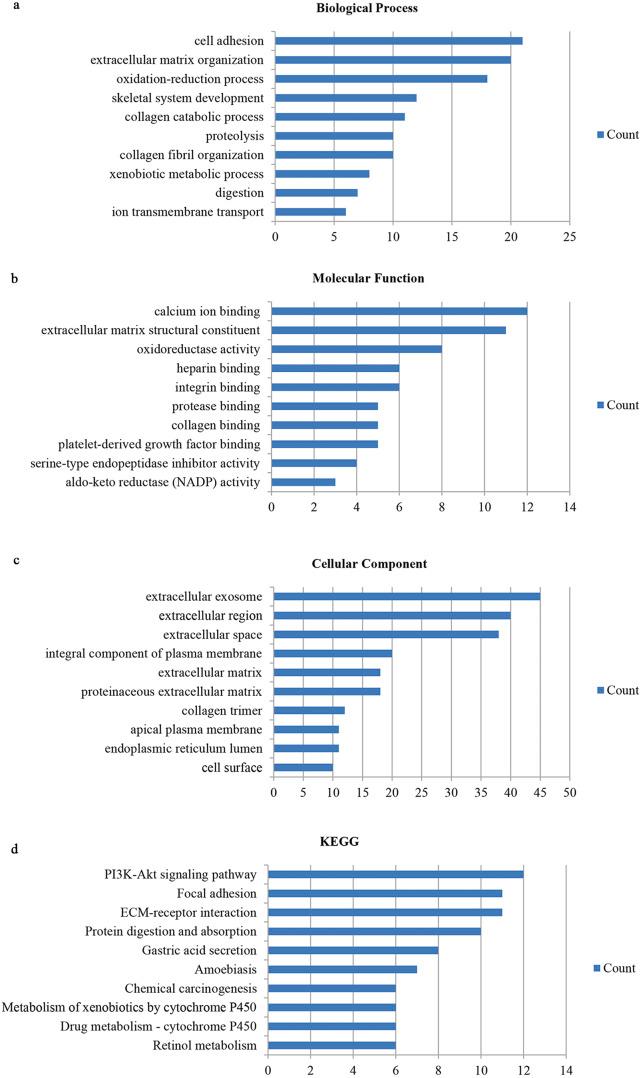 https://cdn.ncbi.nlm.nih.gov/pmc/blobs/5b56/7255341/c979211e963a/peerj-08-9123-g002.jpg