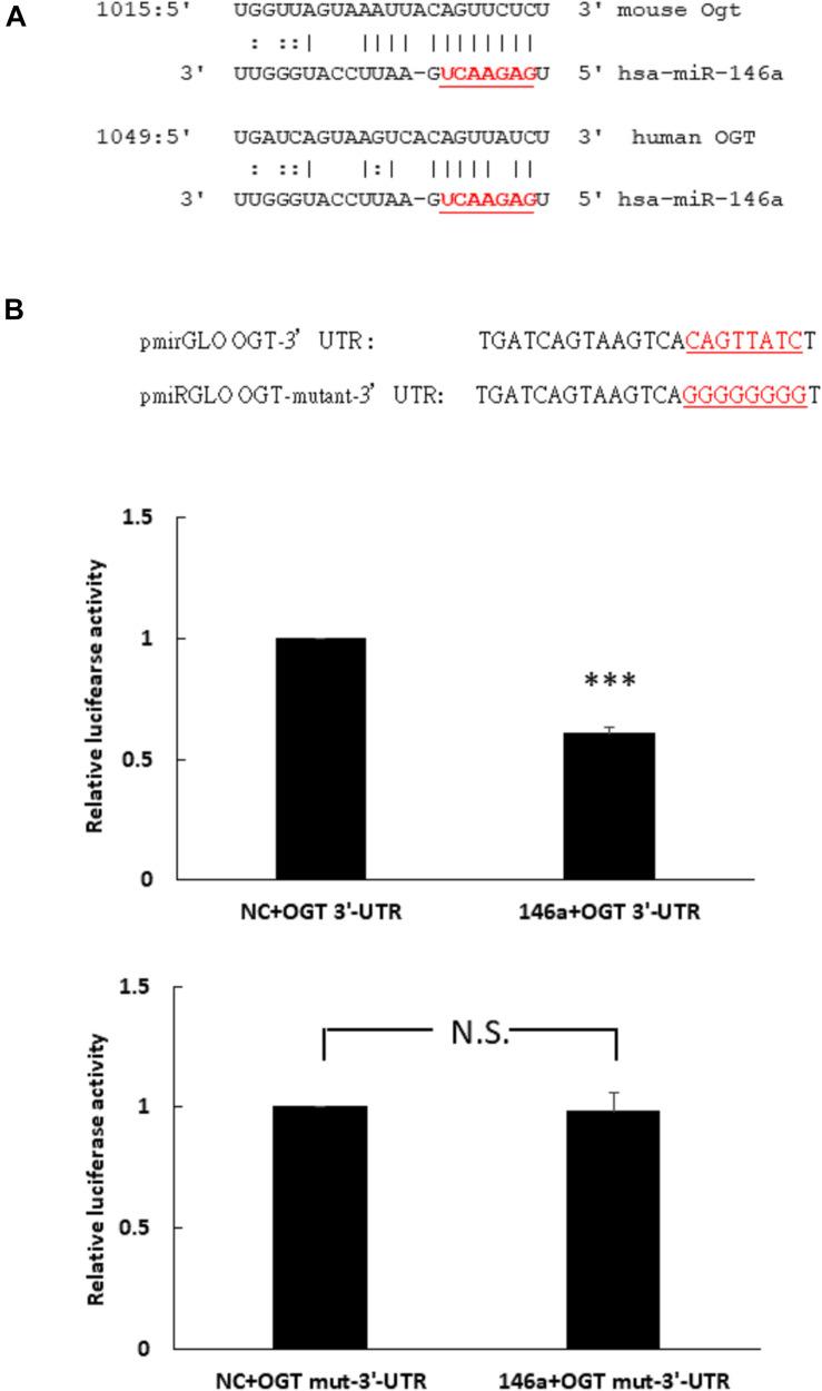https://cdn.ncbi.nlm.nih.gov/pmc/blobs/5b61/7662465/3977e3899c8a/fphys-11-01091-g002.jpg