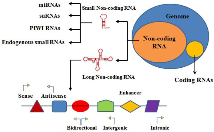 https://cdn.ncbi.nlm.nih.gov/pmc/blobs/5b81/9405066/1090f0c90223/bioengineering-09-00406-g002.jpg