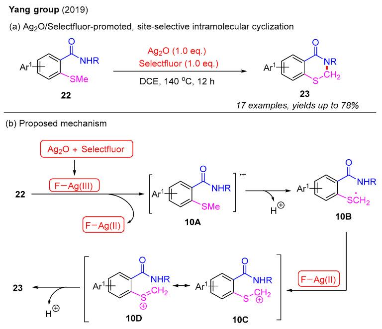 https://cdn.ncbi.nlm.nih.gov/pmc/blobs/5b83/12114103/70d066377eb8/molecules-30-02099-sch011.jpg