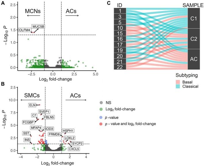 https://cdn.ncbi.nlm.nih.gov/pmc/blobs/5b85/12256392/e334d142511b/PATH-266-421-g003.jpg