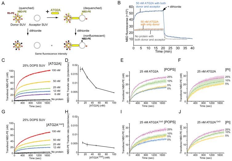 https://cdn.ncbi.nlm.nih.gov/pmc/blobs/5ba1/6625793/ab0977529ee2/elife-45777-fig3.jpg