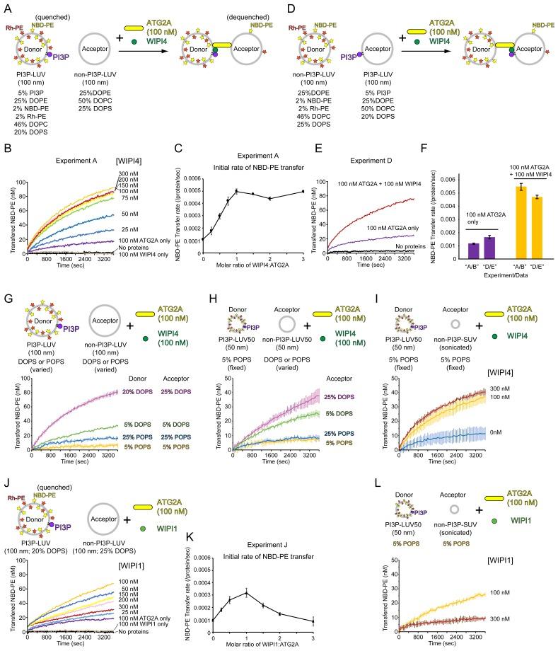 https://cdn.ncbi.nlm.nih.gov/pmc/blobs/5ba1/6625793/ad10bc96a1d7/elife-45777-fig4.jpg