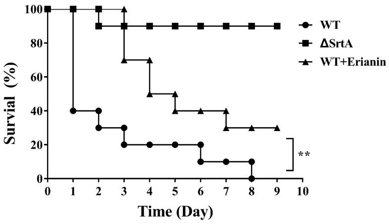 https://cdn.ncbi.nlm.nih.gov/pmc/blobs/5bb3/6215257/1ea1561d7b20/toxins-10-00385-g008.jpg