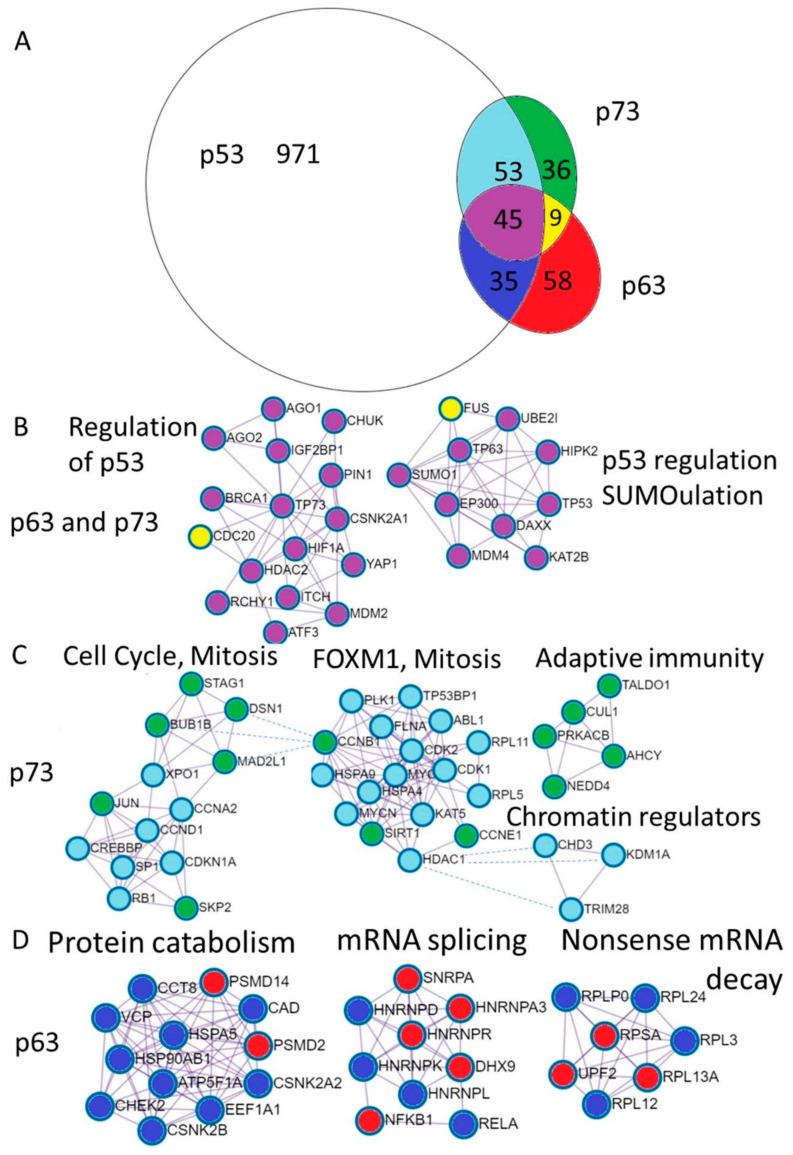 https://cdn.ncbi.nlm.nih.gov/pmc/blobs/5bbb/7824480/2e0f8f74c0f6/cells-10-00025-g003.jpg