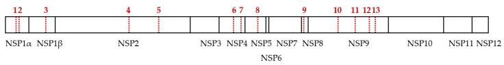 https://cdn.ncbi.nlm.nih.gov/pmc/blobs/5bbc/9502253/1c612db3c738/viruses-14-01891-g003.jpg