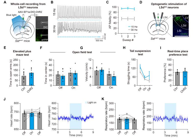 https://cdn.ncbi.nlm.nih.gov/pmc/blobs/5bc9/9841747/325304a257a7/en-31-6-376-f4.jpg