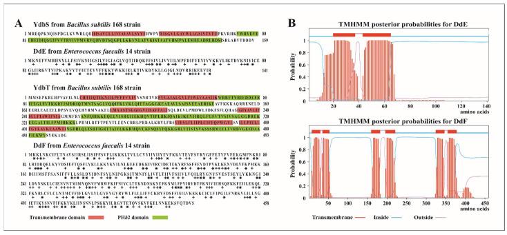 https://cdn.ncbi.nlm.nih.gov/pmc/blobs/5bca/8657885/6df616fe1f0a/ijms-22-12877-g001.jpg