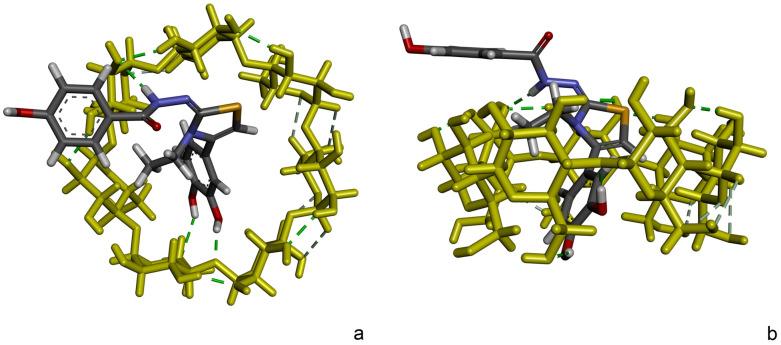 https://cdn.ncbi.nlm.nih.gov/pmc/blobs/5bcd/12029814/c2a2c437e763/molecules-30-01842-g012.jpg