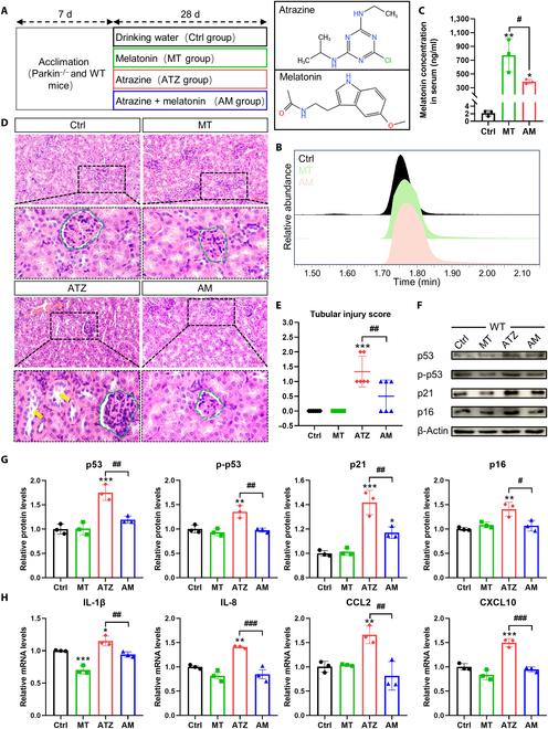 https://cdn.ncbi.nlm.nih.gov/pmc/blobs/5bcf/11098712/0f4ca858c860/research.0378.fig.001.jpg