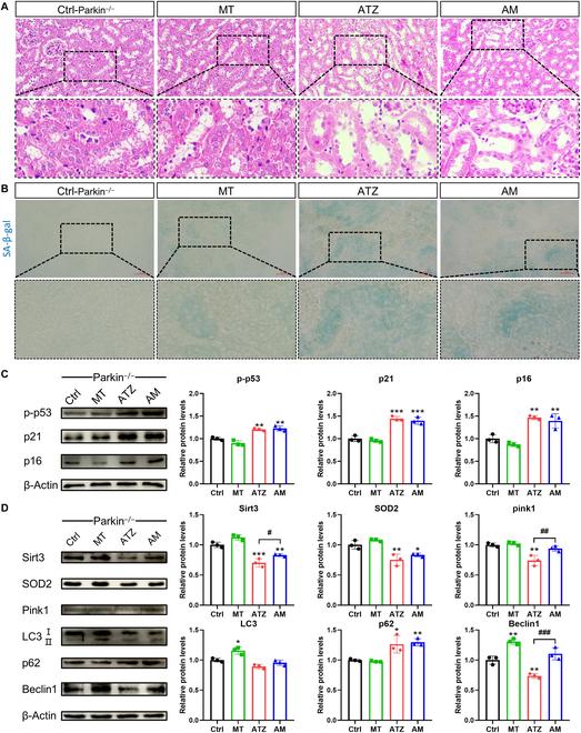https://cdn.ncbi.nlm.nih.gov/pmc/blobs/5bcf/11098712/23a40103829c/research.0378.fig.004.jpg