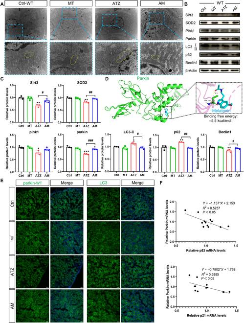 https://cdn.ncbi.nlm.nih.gov/pmc/blobs/5bcf/11098712/65bc53005417/research.0378.fig.003.jpg