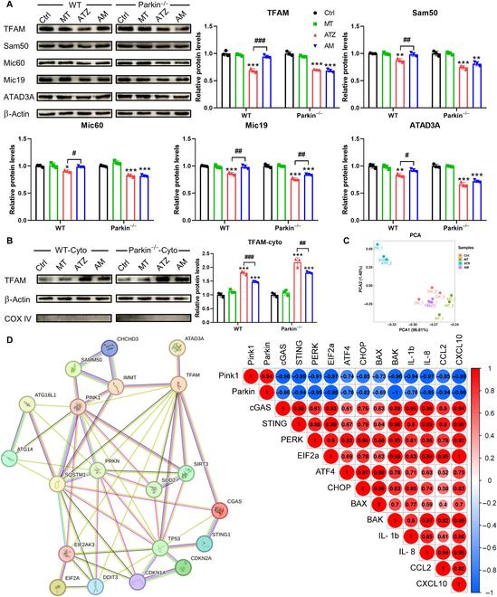 https://cdn.ncbi.nlm.nih.gov/pmc/blobs/5bcf/11098712/f0759f8466ec/research.0378.fig.006.jpg