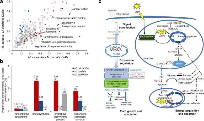 https://cdn.ncbi.nlm.nih.gov/pmc/blobs/5bd1/5968712/dc69bef844f6/12864_2018_4784_Fig3_HTML.jpg