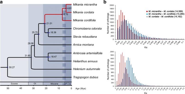 https://cdn.ncbi.nlm.nih.gov/pmc/blobs/5bd1/5968712/e574366b9503/12864_2018_4784_Fig1_HTML.jpg