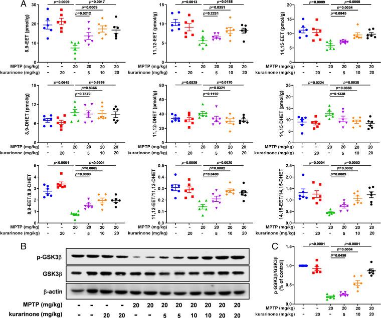 https://cdn.ncbi.nlm.nih.gov/pmc/blobs/5bd4/8892522/6fb813884599/pnas.2118818119fig05.jpg