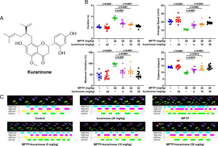 https://cdn.ncbi.nlm.nih.gov/pmc/blobs/5bd4/8892522/bf7cabaac008/pnas.2118818119fig01.jpg