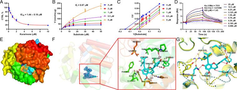 https://cdn.ncbi.nlm.nih.gov/pmc/blobs/5bd4/8892522/cbb862101eda/pnas.2118818119fig06.jpg