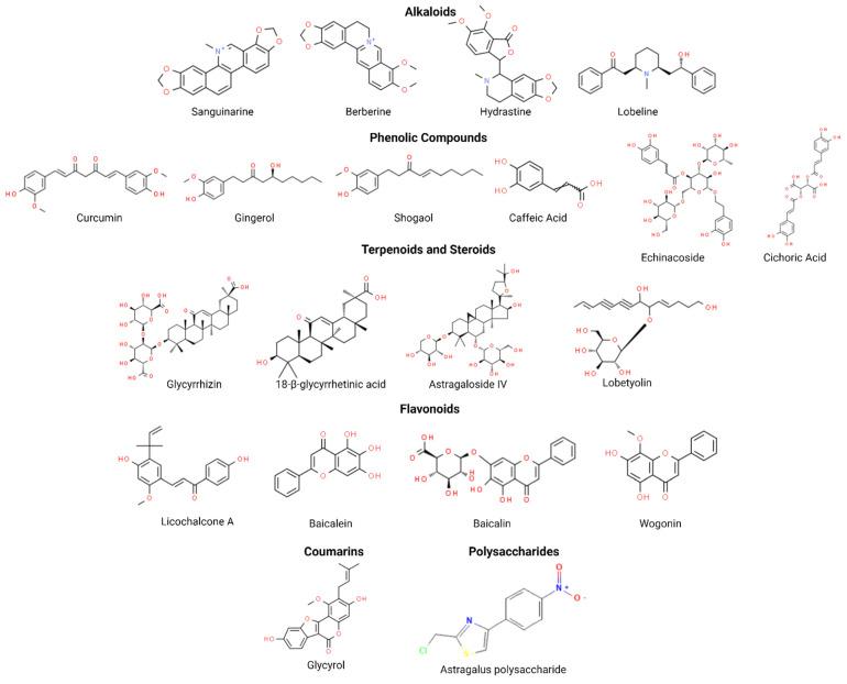 https://cdn.ncbi.nlm.nih.gov/pmc/blobs/5be5/11940637/9fc71492ebe3/biomolecules-15-00380-g003.jpg