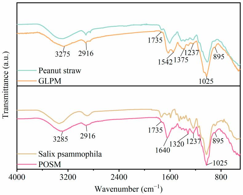https://cdn.ncbi.nlm.nih.gov/pmc/blobs/5c0a/12191277/38ceb03a731d/biomimetics-10-00371-g003.jpg