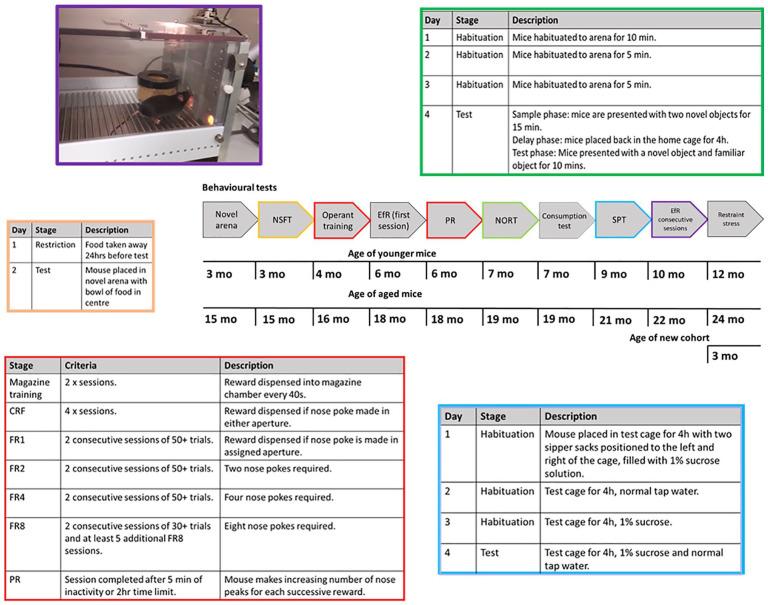 https://cdn.ncbi.nlm.nih.gov/pmc/blobs/5c19/8161852/e4bc237379a7/10.1177_23982128211015110-fig1.jpg