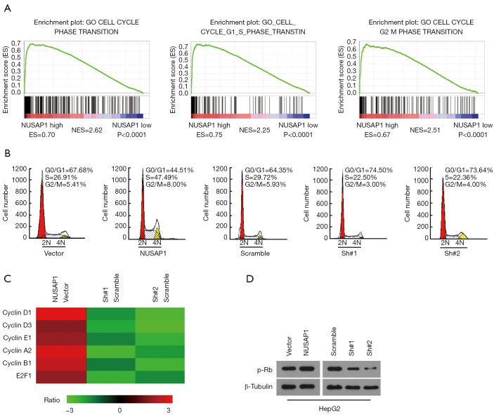 https://cdn.ncbi.nlm.nih.gov/pmc/blobs/5c19/8798742/c18cf0dce571/tcr-08-05-2113-f4.jpg
