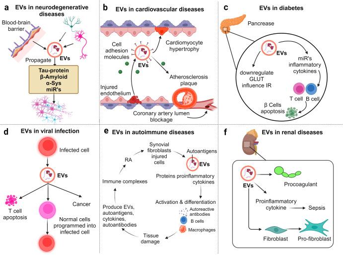 https://cdn.ncbi.nlm.nih.gov/pmc/blobs/5c22/10838959/3cff598abd48/41392_2024_1735_Fig6_HTML.jpg