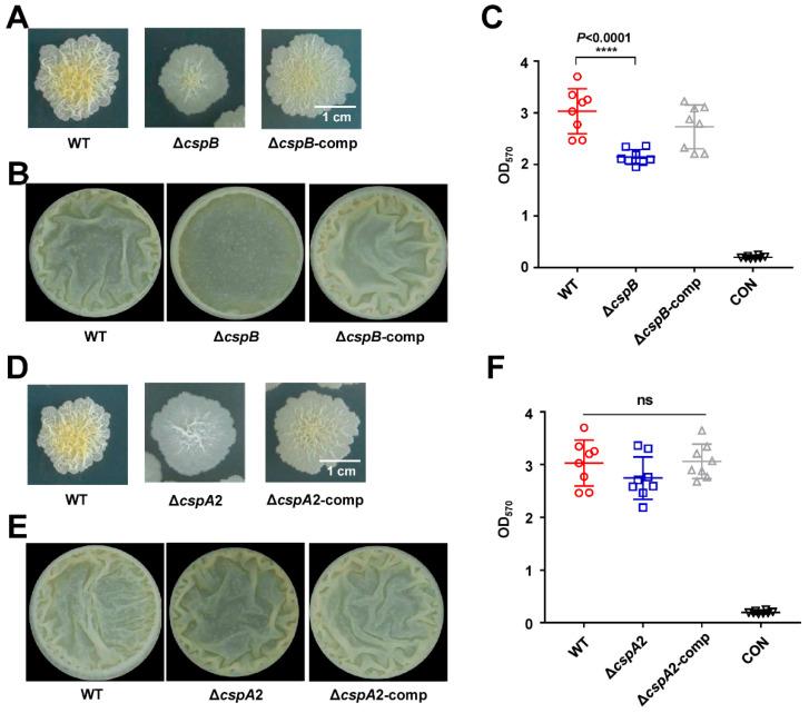 https://cdn.ncbi.nlm.nih.gov/pmc/blobs/5c29/12300830/def907e480c9/microorganisms-13-01597-g005.jpg