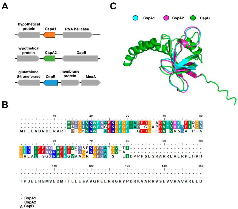 https://cdn.ncbi.nlm.nih.gov/pmc/blobs/5c29/12300830/f262fbb91578/microorganisms-13-01597-g001.jpg