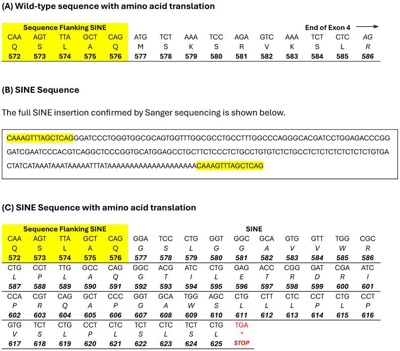 https://cdn.ncbi.nlm.nih.gov/pmc/blobs/5c2f/11275866/b668de85ea34/genes-15-00952-g003.jpg