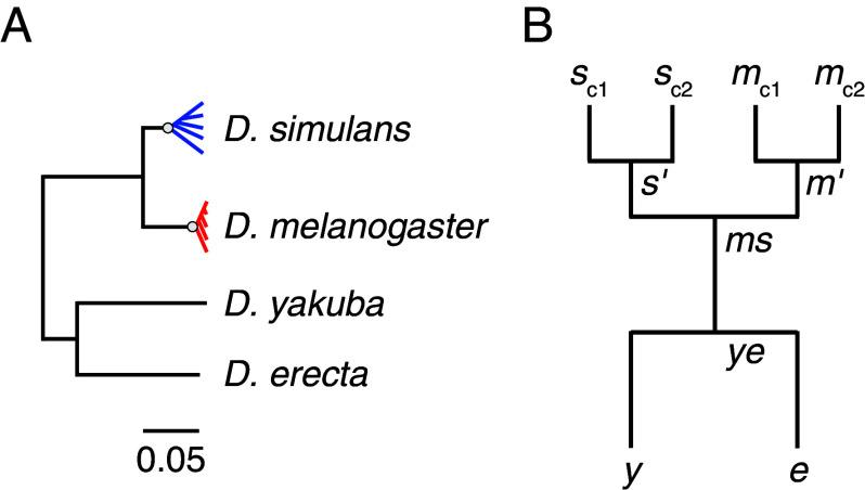 https://cdn.ncbi.nlm.nih.gov/pmc/blobs/5c43/12130887/f9ec607429e7/pnas.2419696122fig01.jpg
