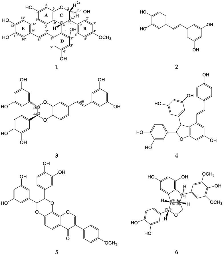 https://cdn.ncbi.nlm.nih.gov/pmc/blobs/5c6e/10056899/b125c3672e58/molecules-28-02593-g001.jpg