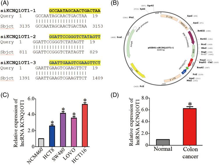 https://cdn.ncbi.nlm.nih.gov/pmc/blobs/5c71/10865742/95cd0be7fa3c/OncolRes-32-29349-f001.jpg