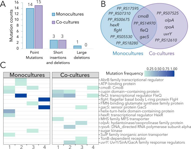 https://cdn.ncbi.nlm.nih.gov/pmc/blobs/5c75/11575400/ea4e3487f656/msystems.01053-24.f003.jpg
