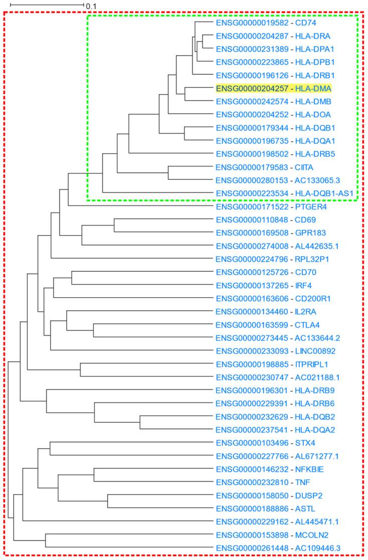 https://cdn.ncbi.nlm.nih.gov/pmc/blobs/5c81/9913097/e8895aa184aa/cells-12-00388-g004.jpg
