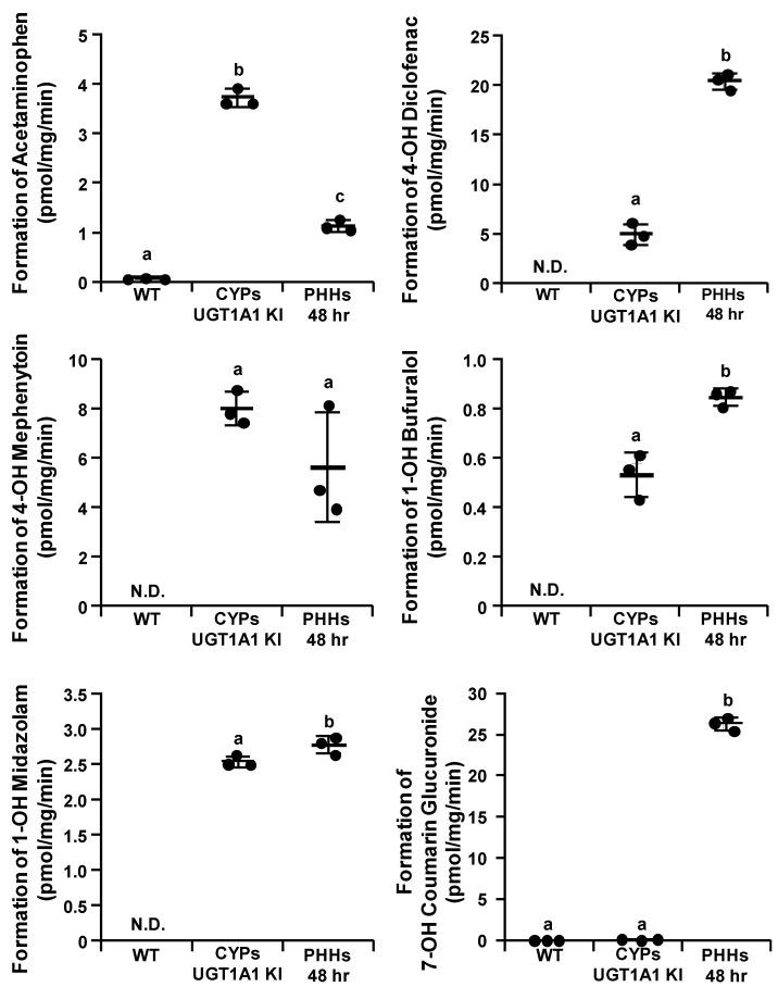 https://cdn.ncbi.nlm.nih.gov/pmc/blobs/5c9b/9140068/24d3909550c1/cells-11-01677-g003.jpg