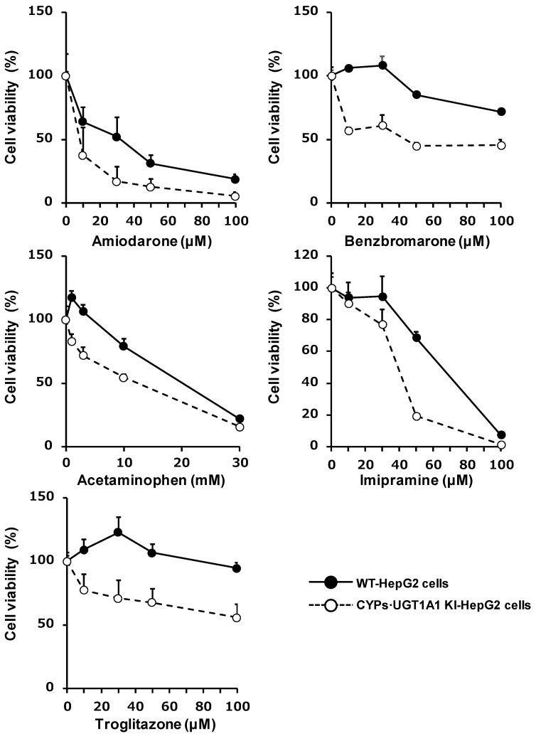 https://cdn.ncbi.nlm.nih.gov/pmc/blobs/5c9b/9140068/af5bd656d233/cells-11-01677-g006.jpg