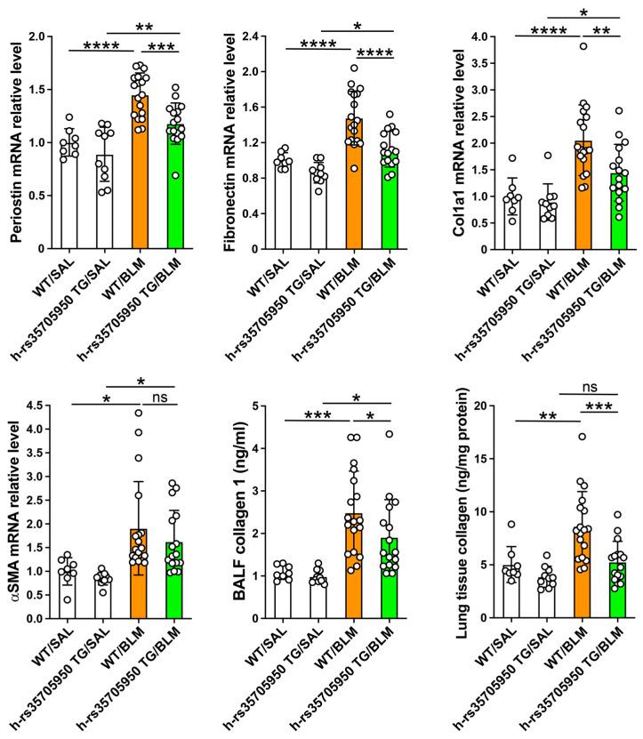 https://cdn.ncbi.nlm.nih.gov/pmc/blobs/5c9e/11430646/7c4fd4534636/cells-13-01523-g007.jpg