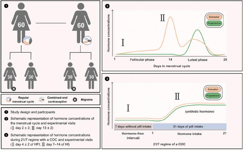 https://cdn.ncbi.nlm.nih.gov/pmc/blobs/5cb9/11165852/2da924896e3d/10194_2024_1804_Fig1_HTML.jpg