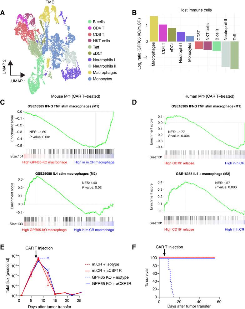 https://cdn.ncbi.nlm.nih.gov/pmc/blobs/5ccc/12046320/e8ed289646b6/cd-24-0841fig6.jpg