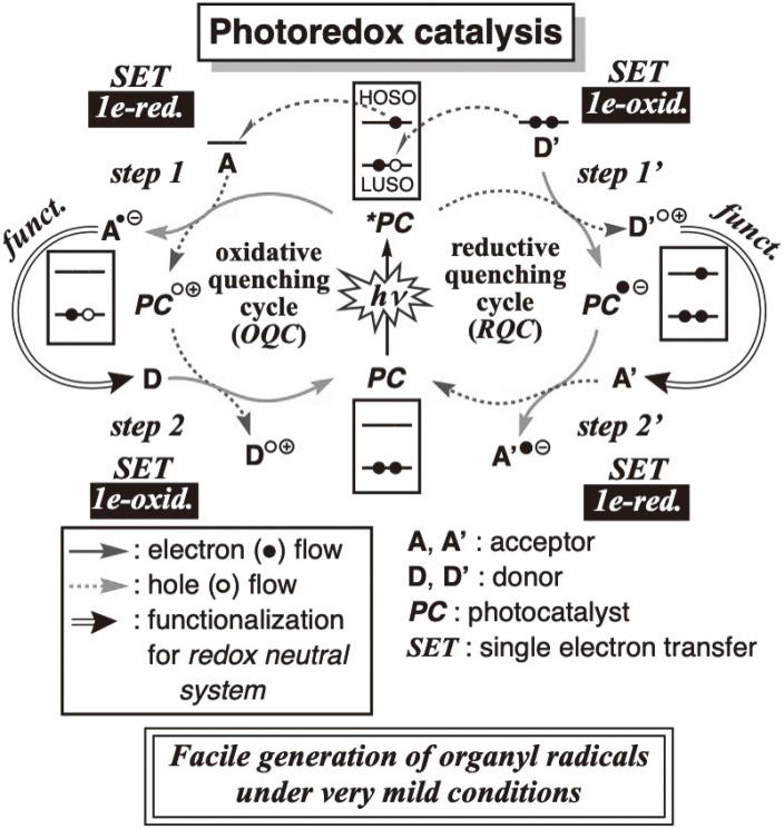 https://cdn.ncbi.nlm.nih.gov/pmc/blobs/5cd6/12332418/48b74e950c7f/pjab-101-274-g003.jpg