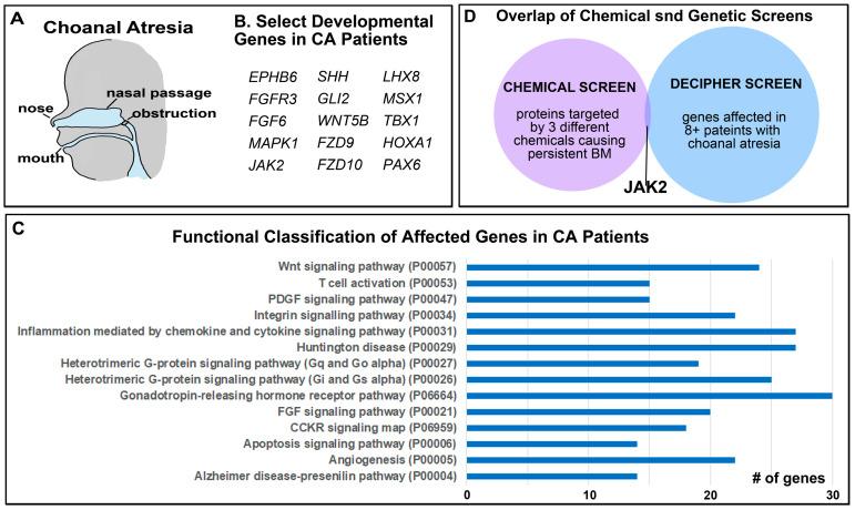https://cdn.ncbi.nlm.nih.gov/pmc/blobs/5cde/10298892/9ef1eae61e62/jdb-11-00024-g002.jpg