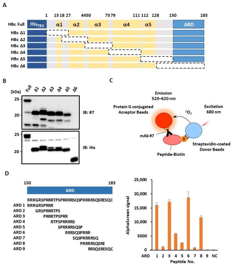 https://cdn.ncbi.nlm.nih.gov/pmc/blobs/5ce8/9783060/6665d70ff19b/microorganisms-10-02381-g003.jpg
