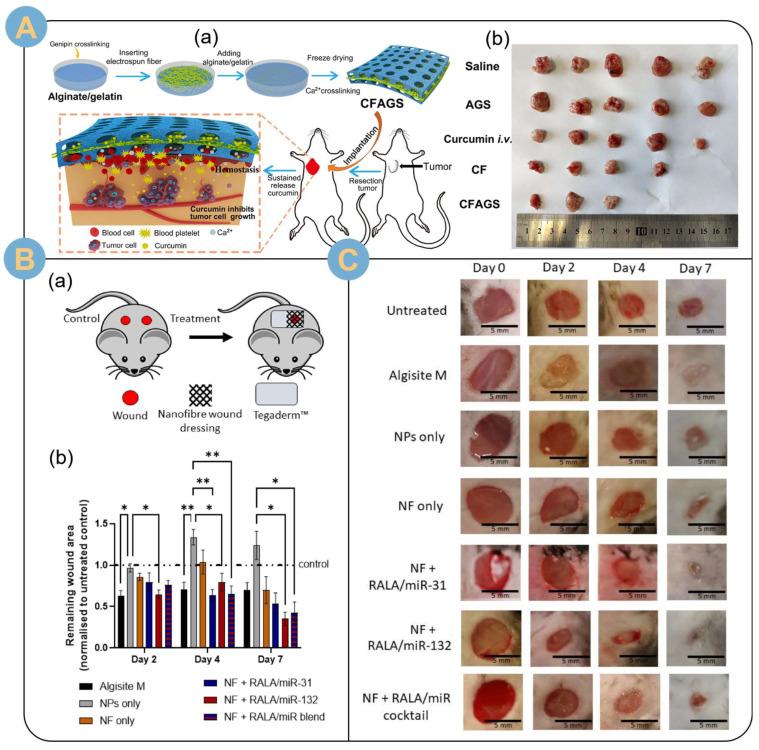 https://cdn.ncbi.nlm.nih.gov/pmc/blobs/5cfe/11274620/f8296269ddc1/biomolecules-14-00789-g012.jpg