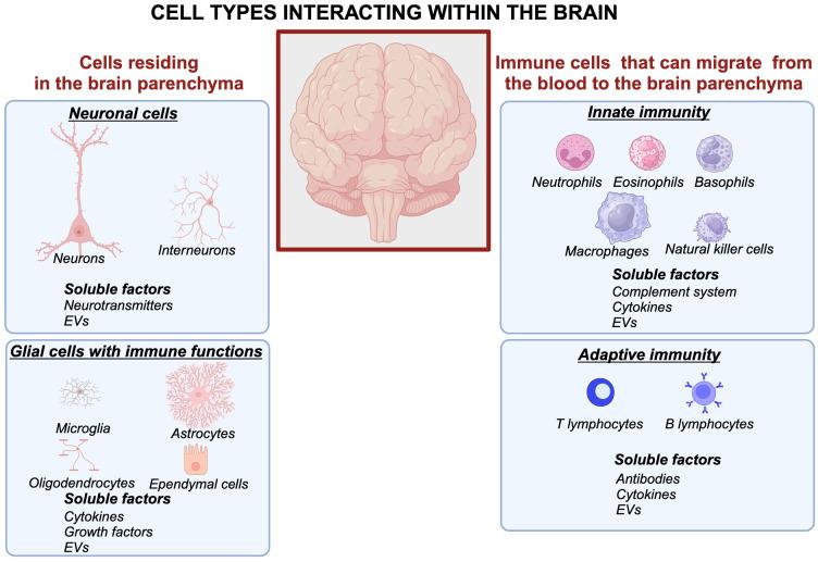 https://cdn.ncbi.nlm.nih.gov/pmc/blobs/5d0e/12011847/47bc0a07c718/fimmu-16-1454306-g001.jpg