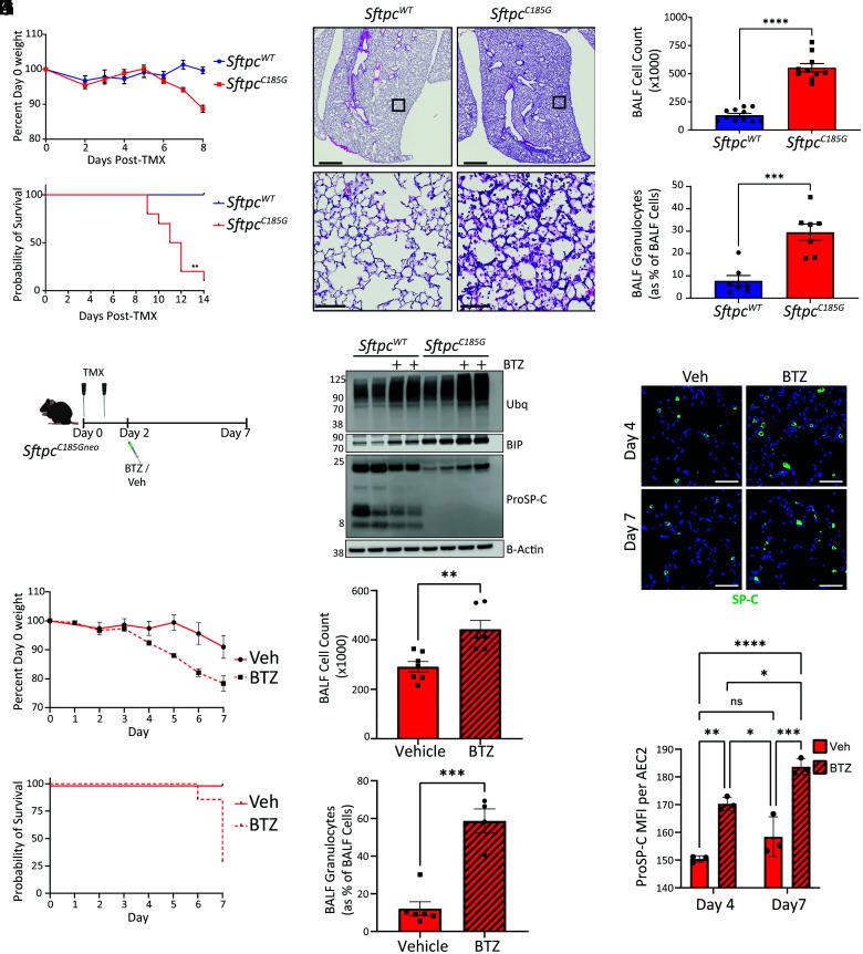 https://cdn.ncbi.nlm.nih.gov/pmc/blobs/5d21/9618079/6f2ef3010dc0/pnas.2123187119fig02.jpg