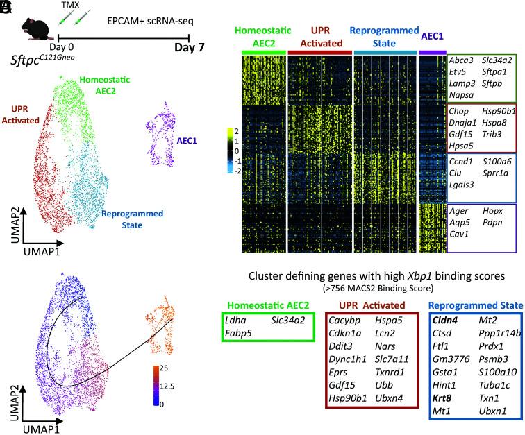 https://cdn.ncbi.nlm.nih.gov/pmc/blobs/5d21/9618079/edc28ff11016/pnas.2123187119fig05.jpg