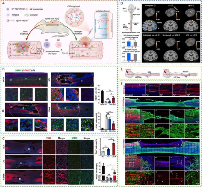 https://cdn.ncbi.nlm.nih.gov/pmc/blobs/5d2b/11974648/2a45ee1d2458/NRR-20-3476-g008.jpg