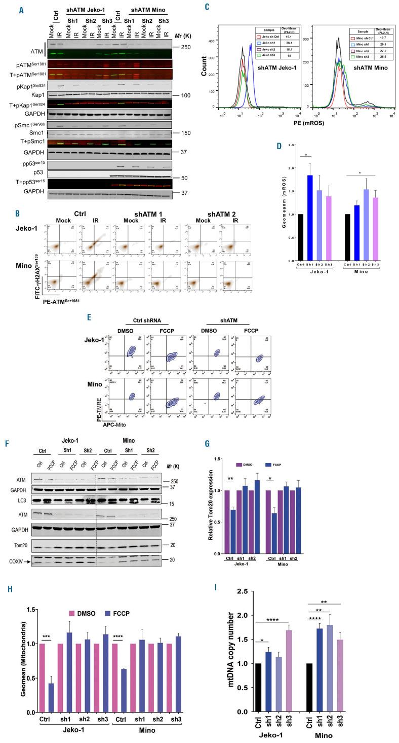 https://cdn.ncbi.nlm.nih.gov/pmc/blobs/5d37/7849759/9a0461ca8d1a/106495.fig2.jpg