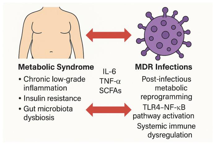 https://cdn.ncbi.nlm.nih.gov/pmc/blobs/5d44/12190144/b299ae7277de/biomedicines-13-01343-g006.jpg